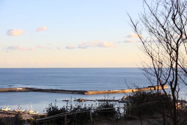 a0151615_179577.jpg