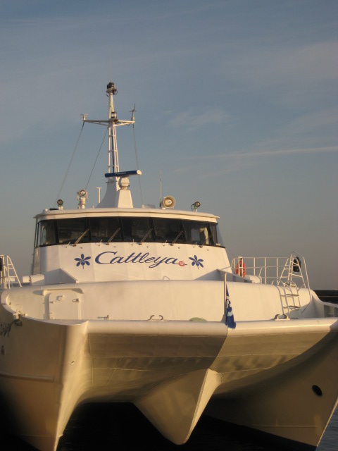 d0147727_22313021.jpg