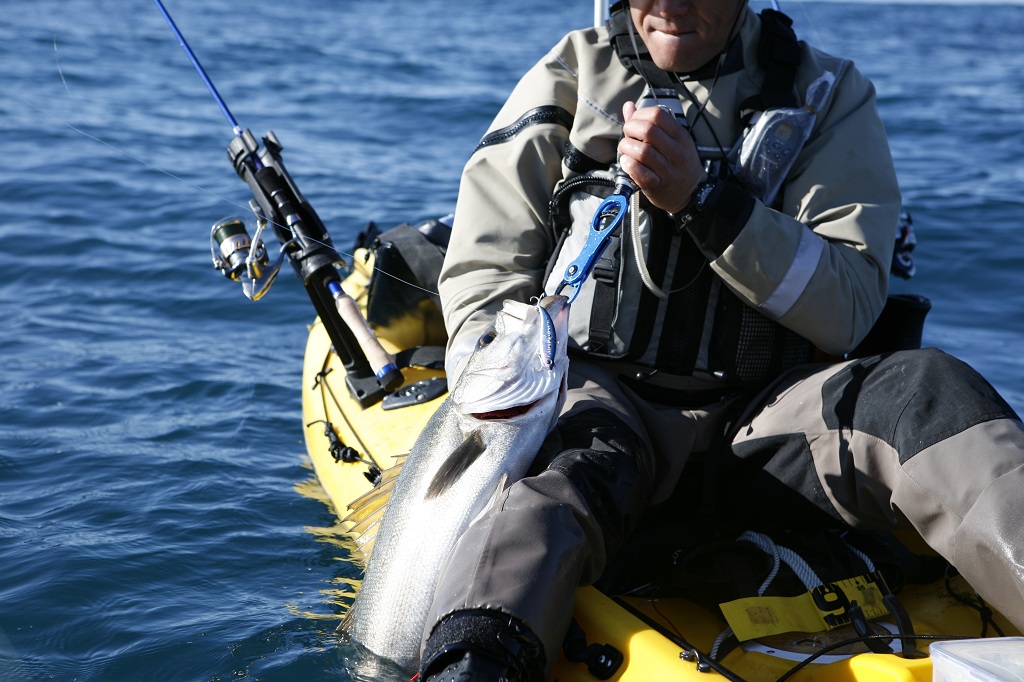 b0173629_23293470.jpg
