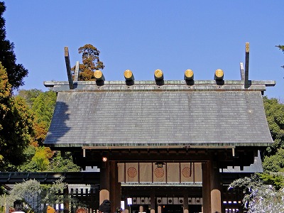 b0057133_10234796.jpg