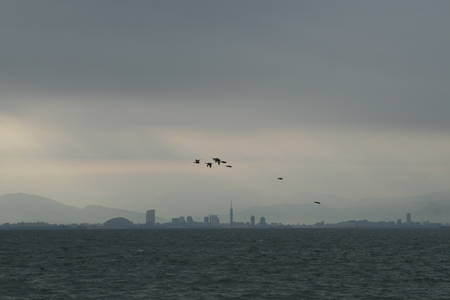 a0097735_112830.jpg