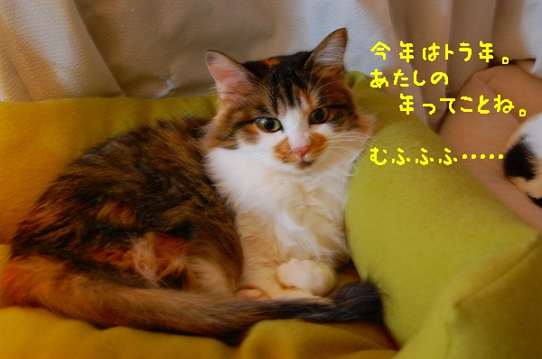 c0181639_12617.jpg
