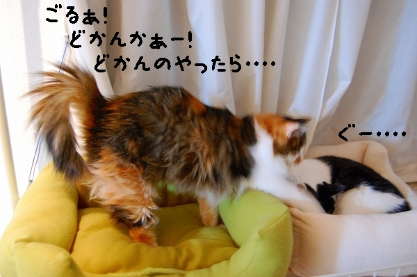 c0181639_1262767.jpg
