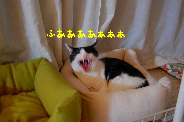 c0181639_1265729.jpg