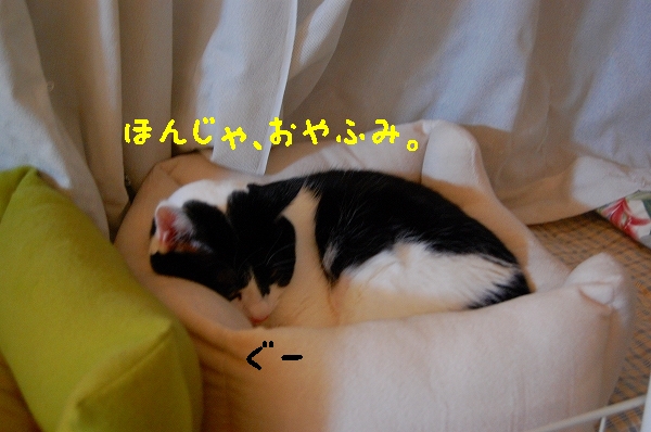 c0181639_127951.jpg