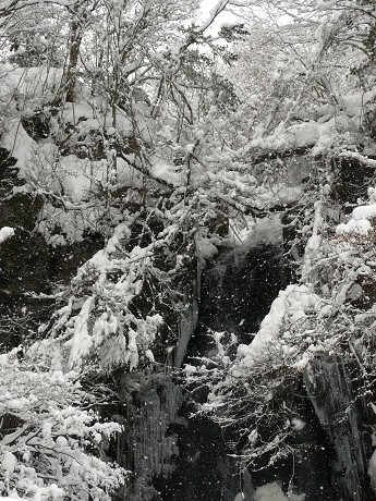 c0057946_22551636.jpg