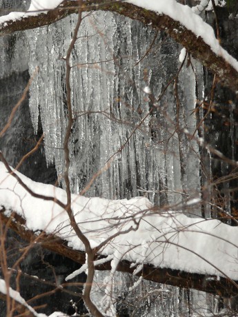 c0057946_22555317.jpg