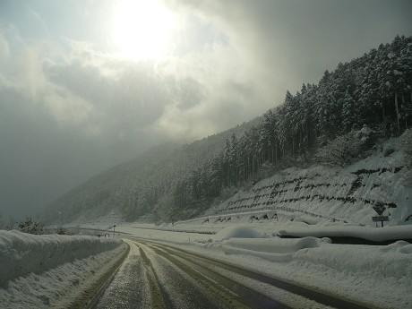 c0057946_22571096.jpg