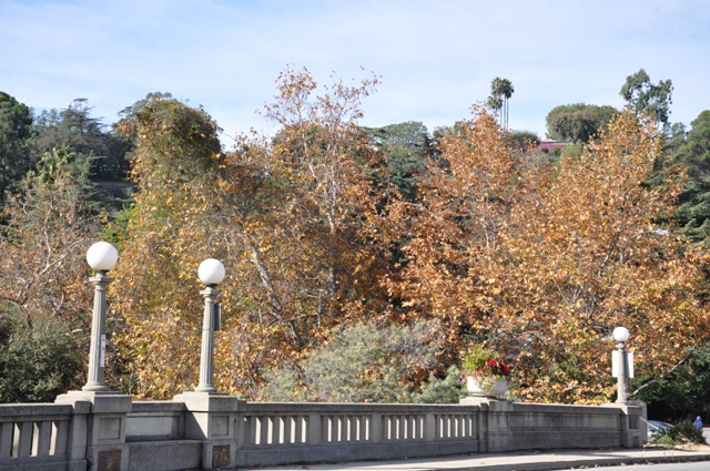 b0179447_116890.jpg