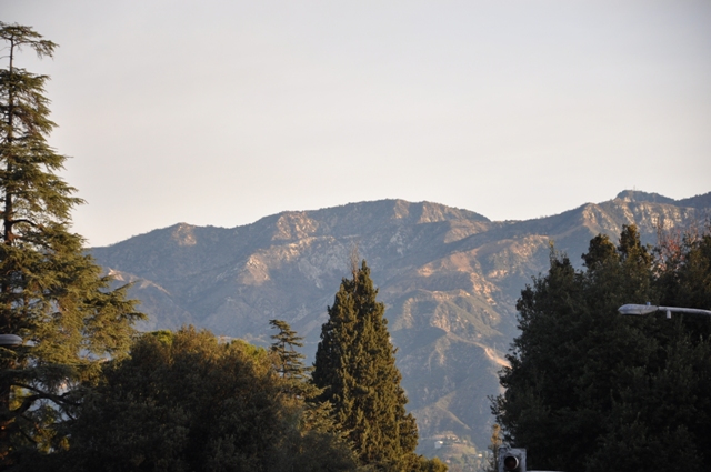 b0179447_844258.jpg