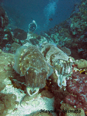 e0027447_20163348.jpg