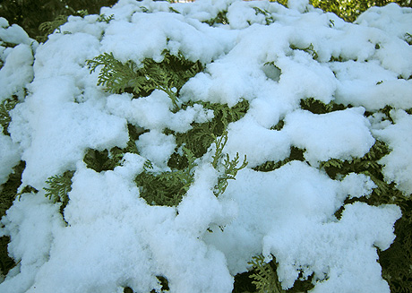 a0001354_22415642.jpg