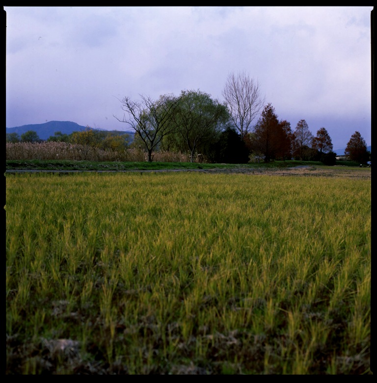 c0136654_41231.jpg