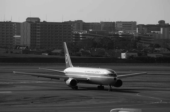 a0004359_2243265.jpg