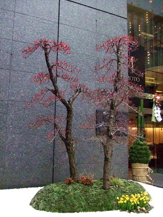 c0107861_22262675.jpg