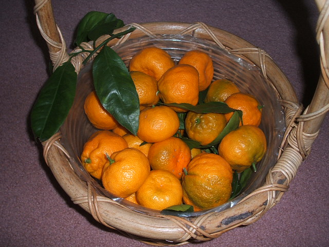 c0115366_237269.jpg