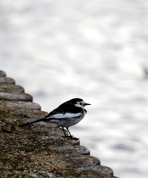 b0131167_20115821.jpg