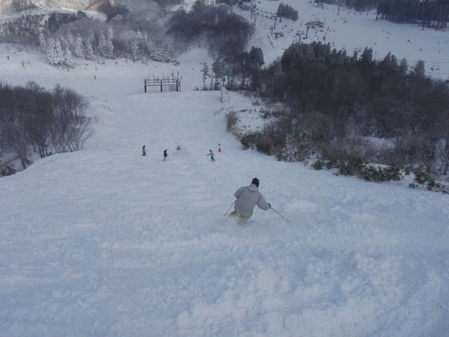 a0125171_7564952.jpg