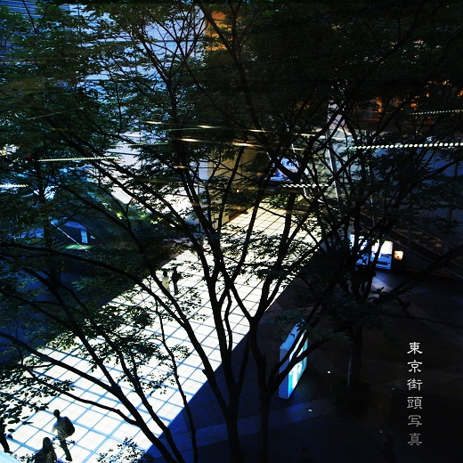 f0115475_2247345.jpg