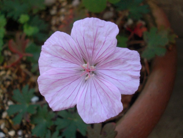 f0165677_20115990.jpg