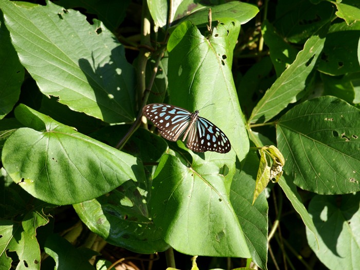 f0083281_16211240.jpg