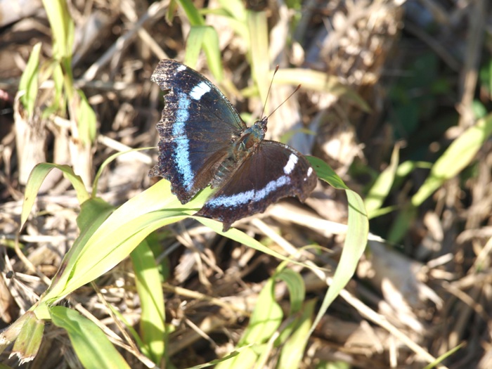 f0083281_16271348.jpg