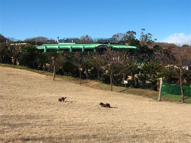 d0143284_4205418.jpg