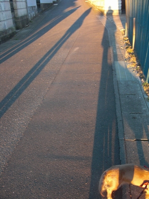 c0198485_14573475.jpg