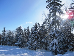 d0075989_22272384.jpg