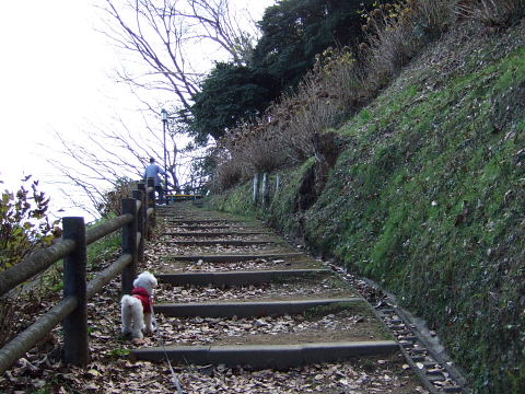 b0104592_15442643.jpg