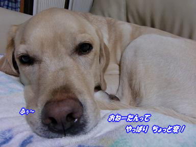 c0028792_22233393.jpg