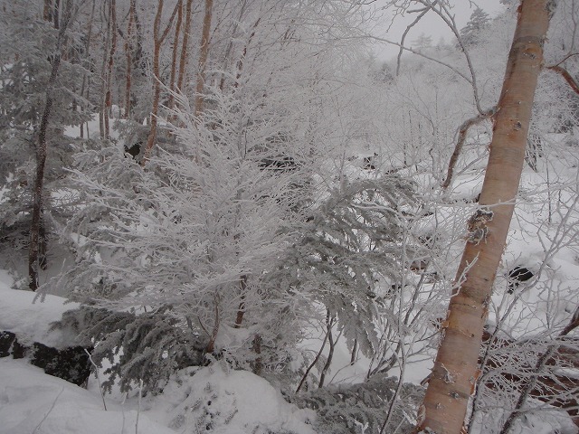 c0147398_1922398.jpg