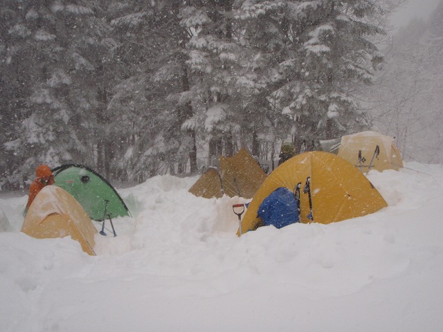 c0147398_1923296.jpg