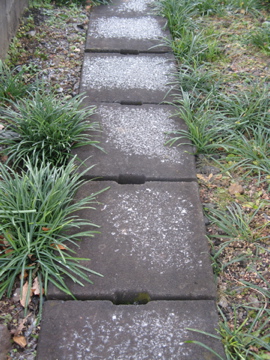 a0117599_22125668.jpg