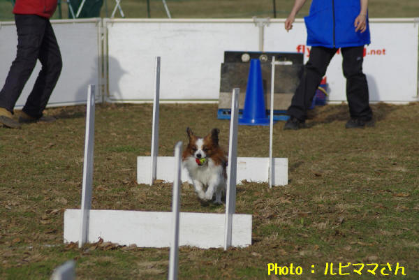 c0044199_22435323.jpg