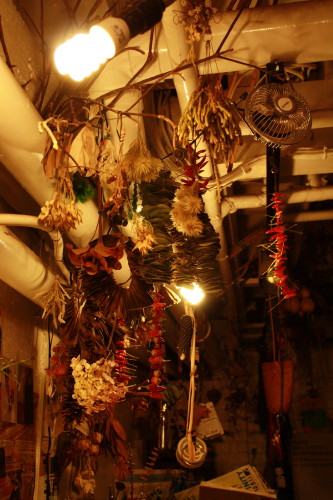c0190900_2033331.jpg