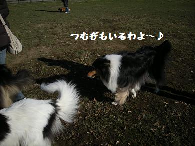 f0081100_2131373.jpg