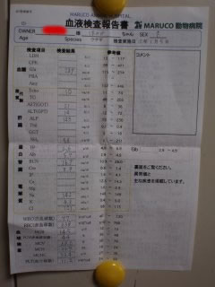 b0030701_1451678.jpg