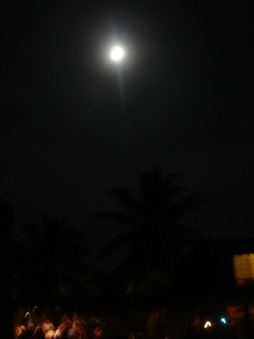 b0118001_048260.jpg