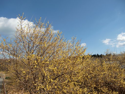 a0101404_1344038.jpg