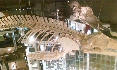 f0187704_2254534.jpg