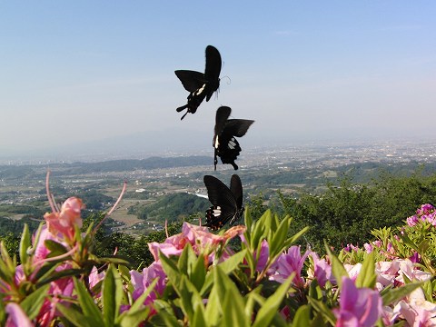 a0117305_22544813.jpg