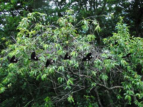 a0117305_2255199.jpg