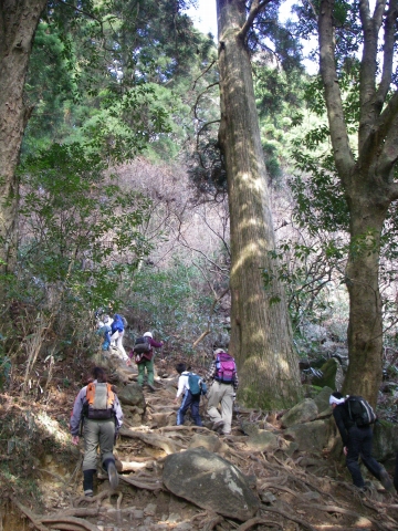 d0051707_22275876.jpg