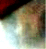 e0103408_14122746.gif