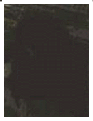 e0103408_14143433.gif
