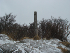 a0129233_2213744.jpg