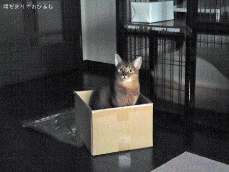 c0132438_21535265.jpg