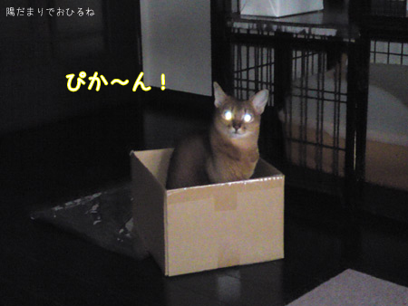 c0132438_2204362.jpg
