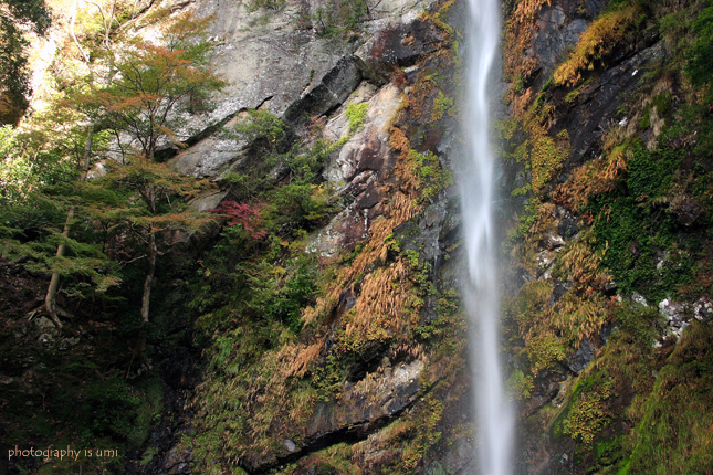 e0083238_22471117.jpg
